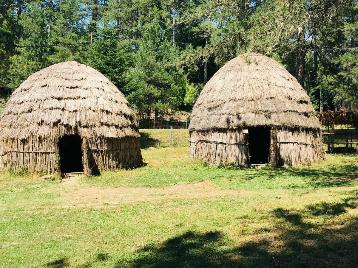 Mousafir Ontas Kepésovon Exterior foto